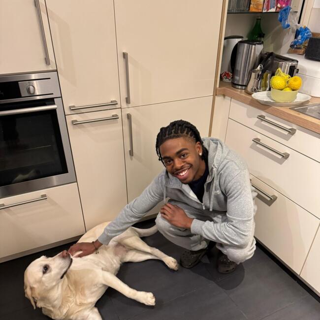 Babysitter in Frankfurt am Main: Cross