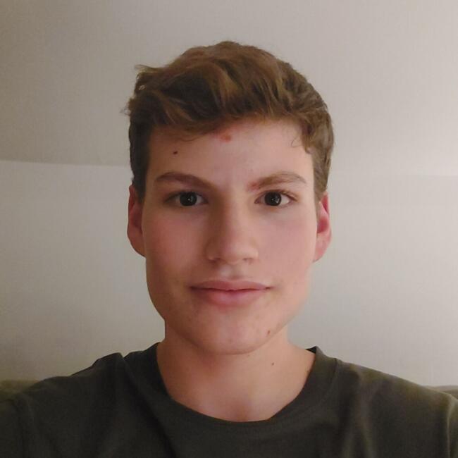 Babysitter in Dardilly: Maxime