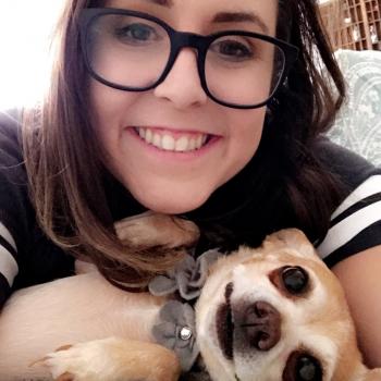 Babysitters in Addison (Texas): Ashley