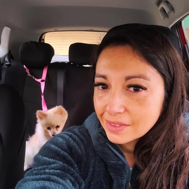 Babysitter in La Florida: Katherine