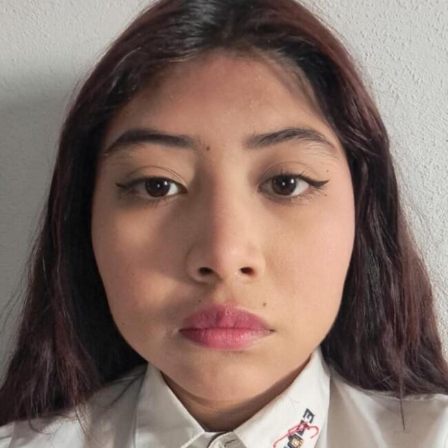 Babysitter in Ciudad Nezahualcoyotl: Estrella