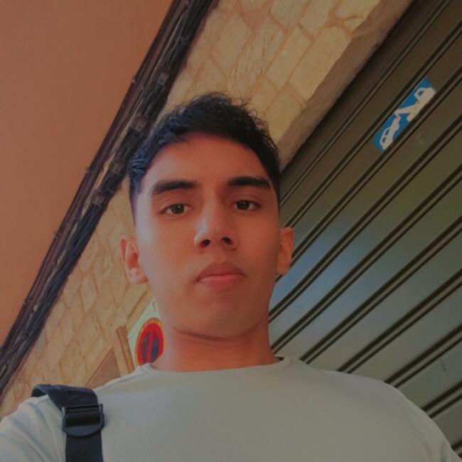 Babysitter in Palma: Andre