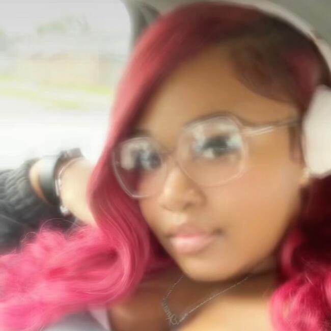 Babysitter in Markham (Illinois): Amari