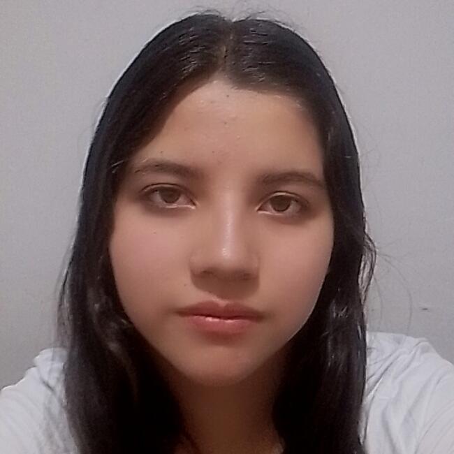 Niñera en Pasto: Erica yuliet