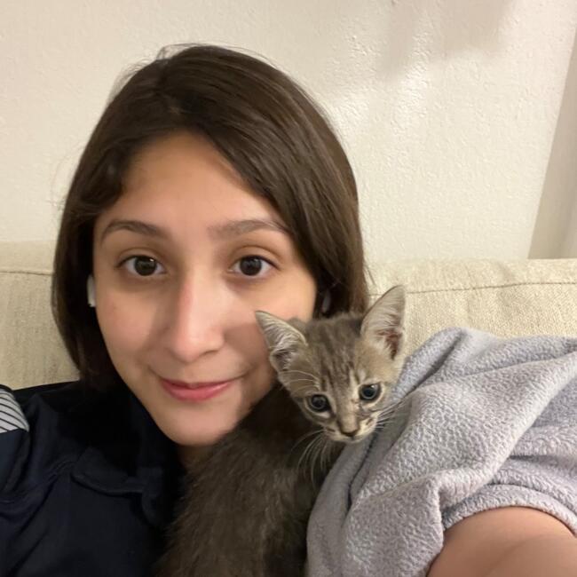 Babysitter in Laredo: Joyce