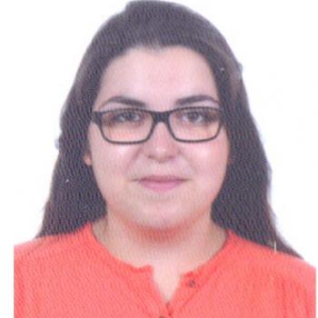 Babysitter Porto: Rute