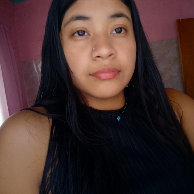Babysitter in La Asunción: Kharlenys