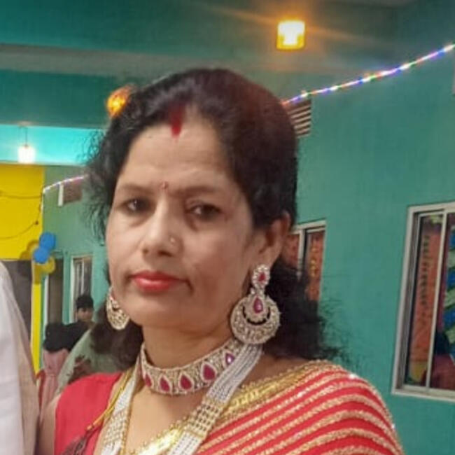 दिल्ली में बेबीसिटर: Anju devi