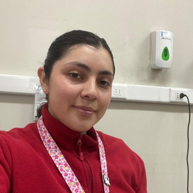 Babysitter in Santiago: Francisca Belen
