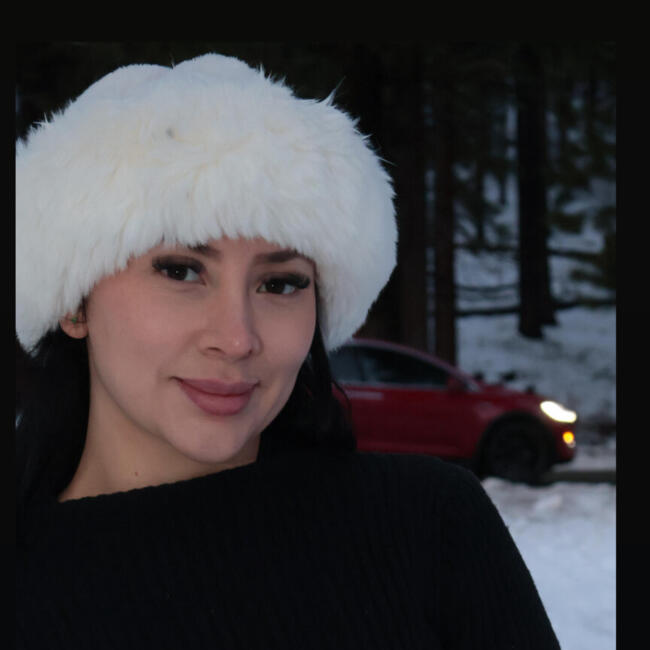 Babysitting job in Santa Clara: Laura