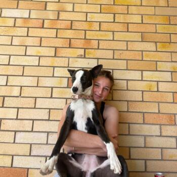 Babysitter Gympie: Jara