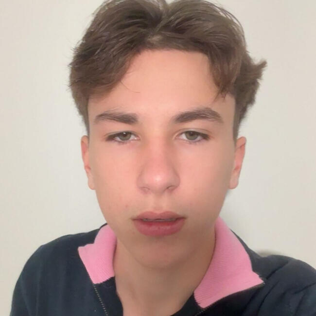 Babysitter in Sèvres-Anxaumont: Axel