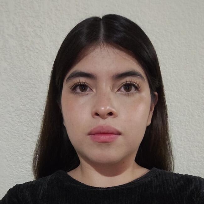 Babysitter in Querétaro City: Ameyalli