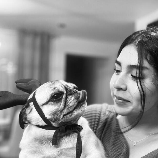 Babysitter in Arequipa: Fatima