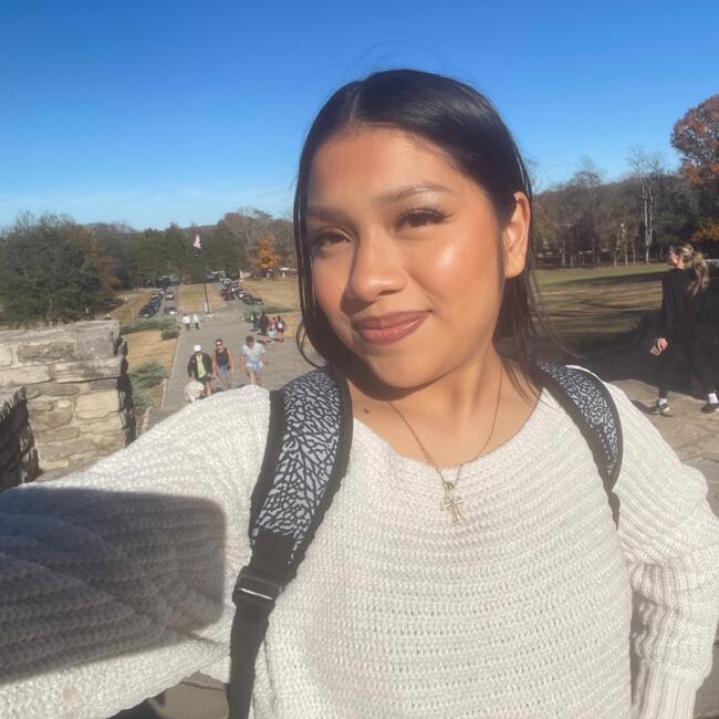 Babysitting job in Nashville: Lety