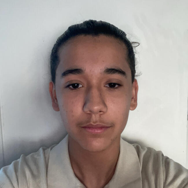Babysitter in Boulogne-Billancourt: Mehdi