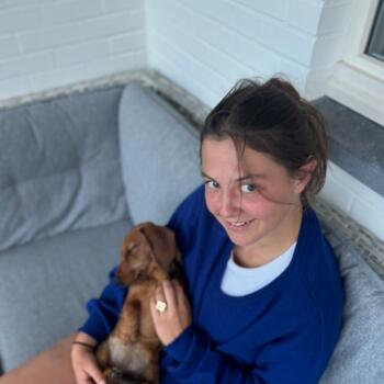 Babysitter in Oud-Heverlee: Eloise