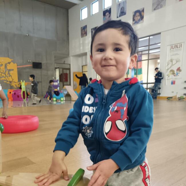 Babysitting job in Punta Arenas: Javiera
