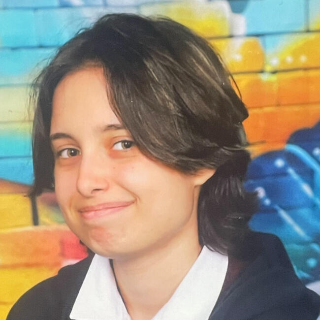 Babysitter in Massongy: Logan