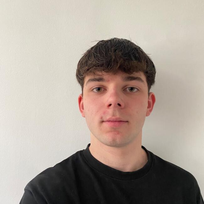 Babysitter in Caluire-et-Cuire: Jules