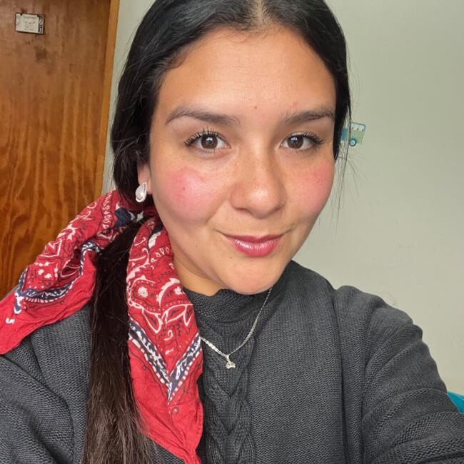 Babysitter in Llanquihue: Andrea