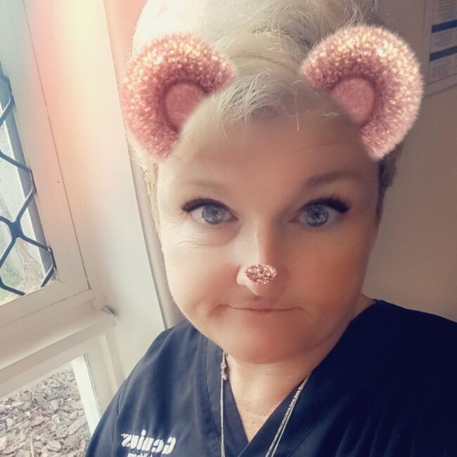 Babysitter in Brisbane: Tiffany 