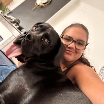 Babysitter in Châteauroux: Emma