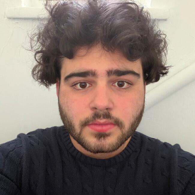 Babysitter in Nancy: Luca