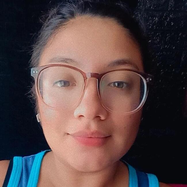 Babysitter in Santiago: Aracelly