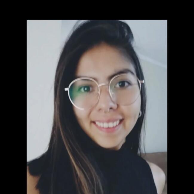 Babysitter in Talca: Sofía Figueroa Alée