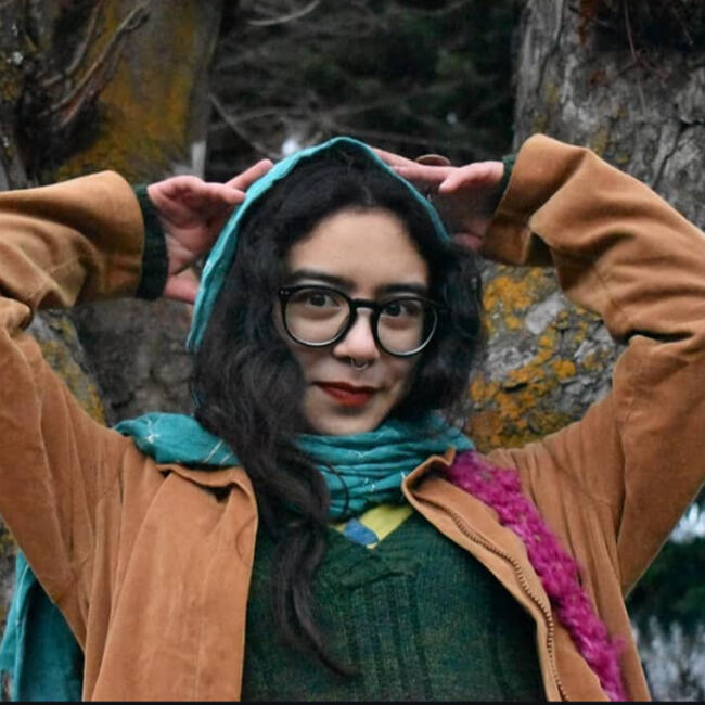 Babysitter in Coyhaique: Laura