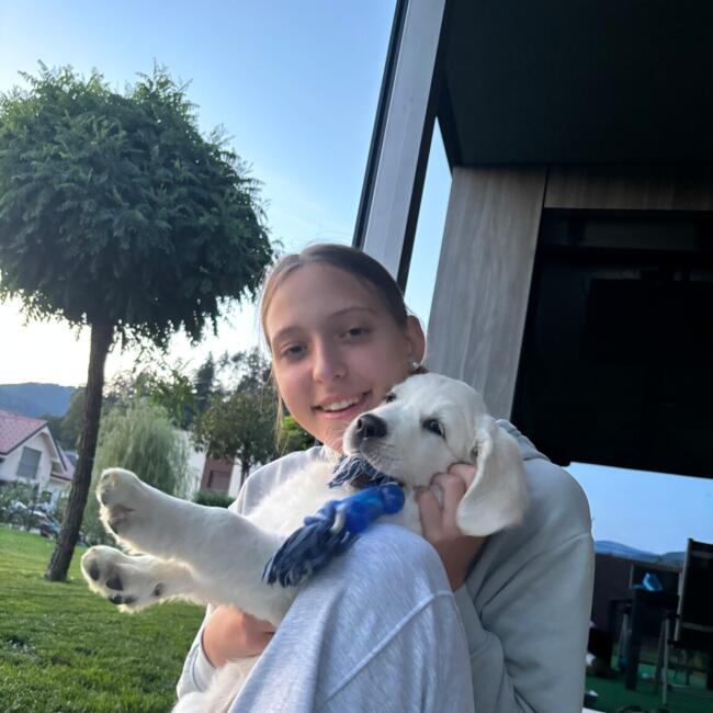 Babysitter in Dravograd: Tija