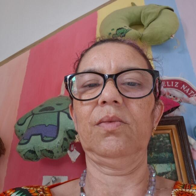 Babá em Guarulhos: Rosana