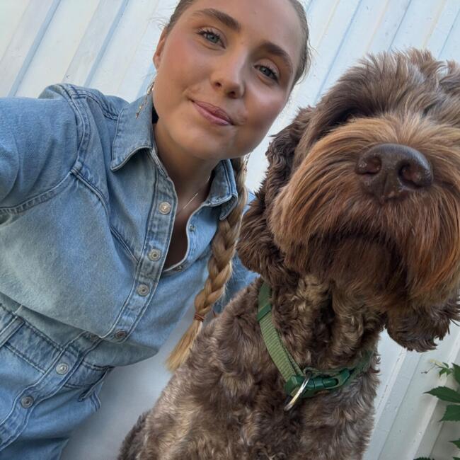 Babysitter in Oslo: Maja