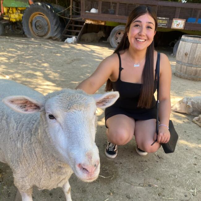 Babysitter in Los Andes: Antonella