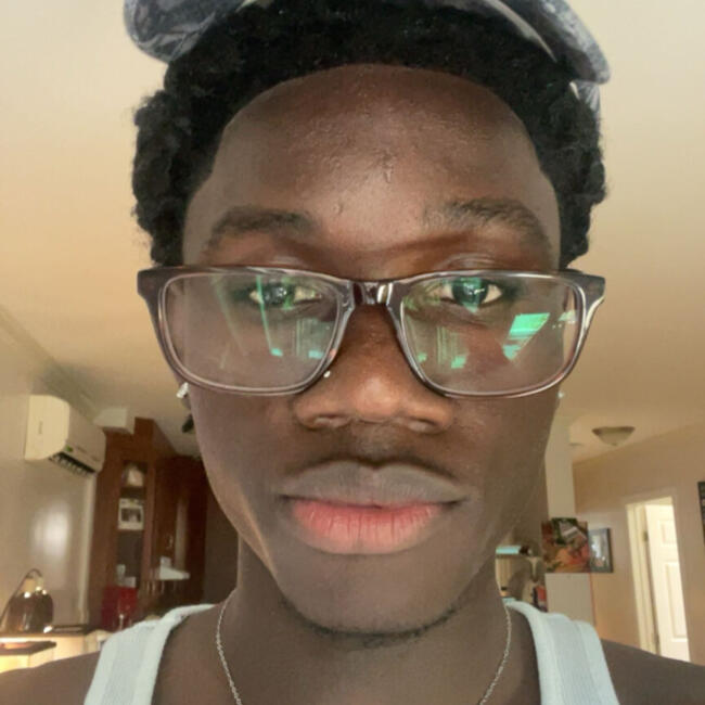 Baby-sitter in Montréal: Ricardo