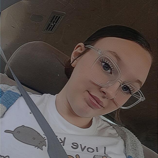 Babysitter in Jeannette (Pennsylvania): Remington