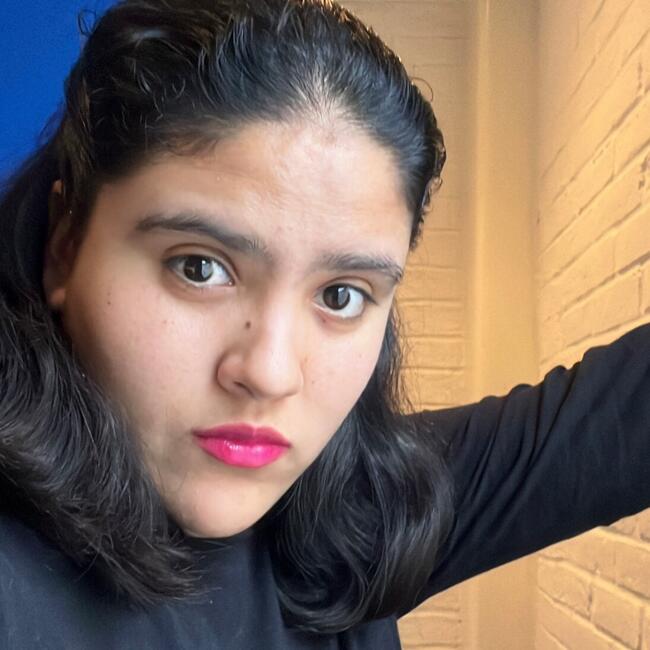 Niñera en Ciudad de México: Luzelena