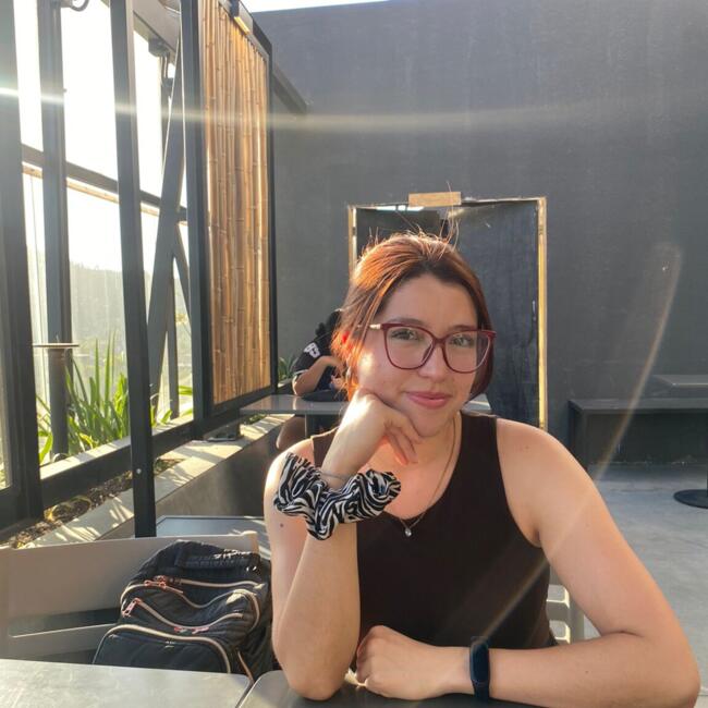 Trabajo para niñera en Santiago de Chile: Camila