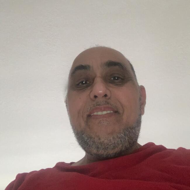 Babysitter in Stoney Creek (Ontario): Dinesh