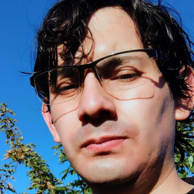 Babysitting job in Osorno: Luis Humberto