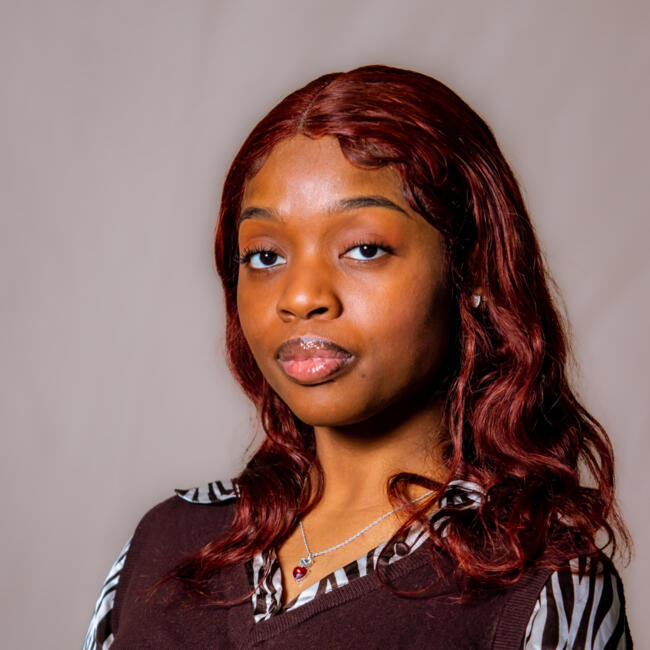 Baby-sitter in Stoney Creek (Ontario): Diane