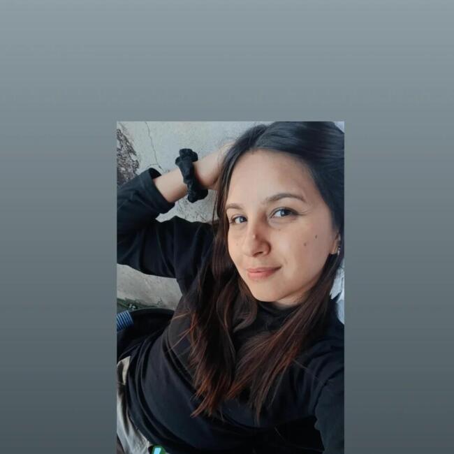 Babá em Campo de Diauarum: Marisol