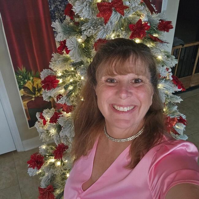 Babysitting job in Dallas: Marie