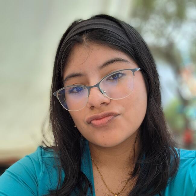 Niñera en La Victoria (Provincia de Chiclayo): Camila Ludeña