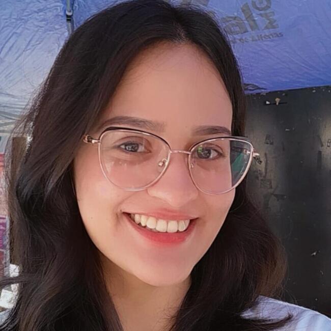 Babysitter in Alfenas: Ana Laura