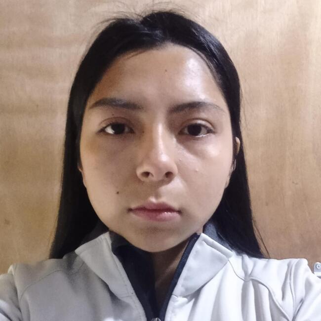 Babysitter in Santiago: Yuliana