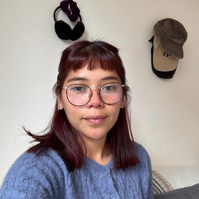 Babysitter in Viña del Mar: Catalina