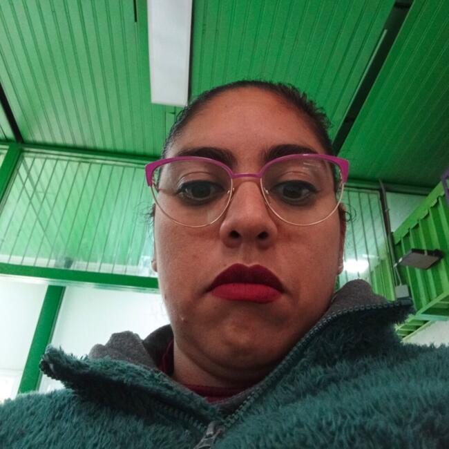 Niñera en Santiago de Chile: Karina