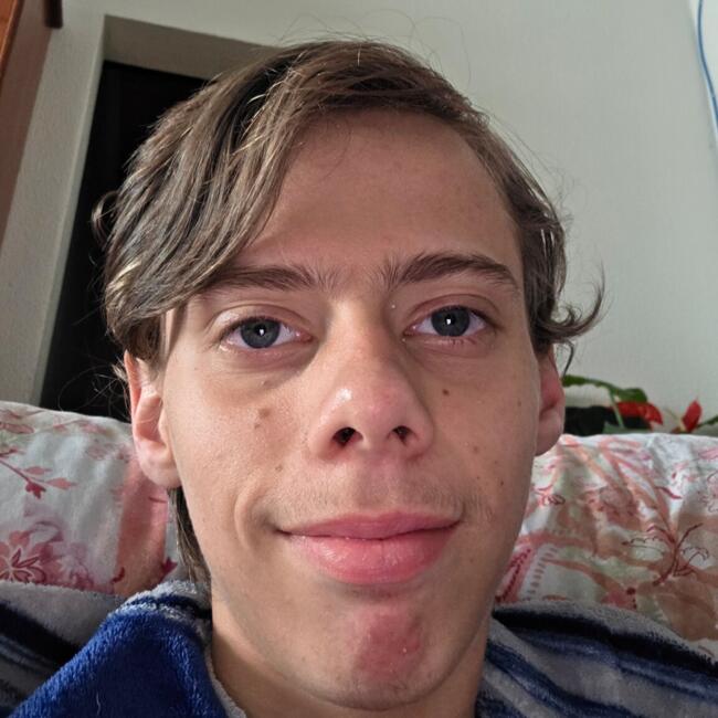 Babysitter in Almeirim: Andre